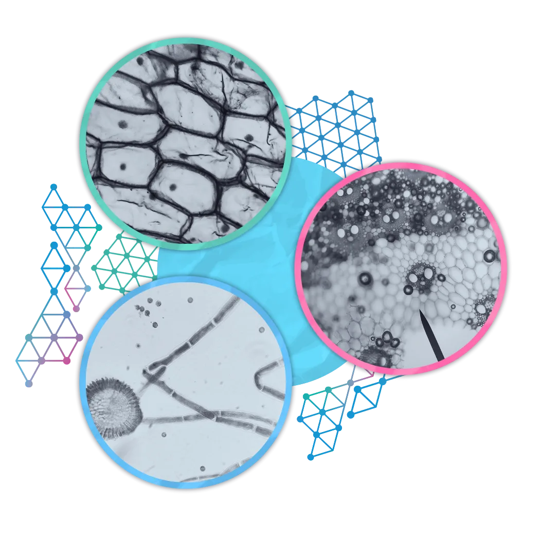 Accelerating Ontario’s health innovation economy section's background image